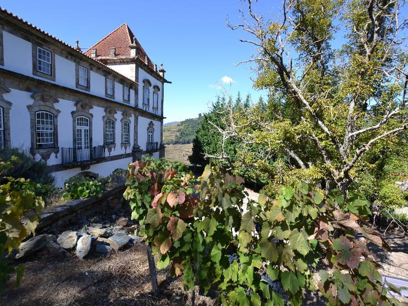 Casa Das Torres De Oliveira Mesão Frio Eksteriør billede