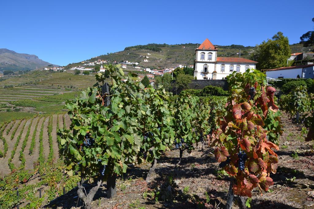 Casa Das Torres De Oliveira Mesão Frio Eksteriør billede