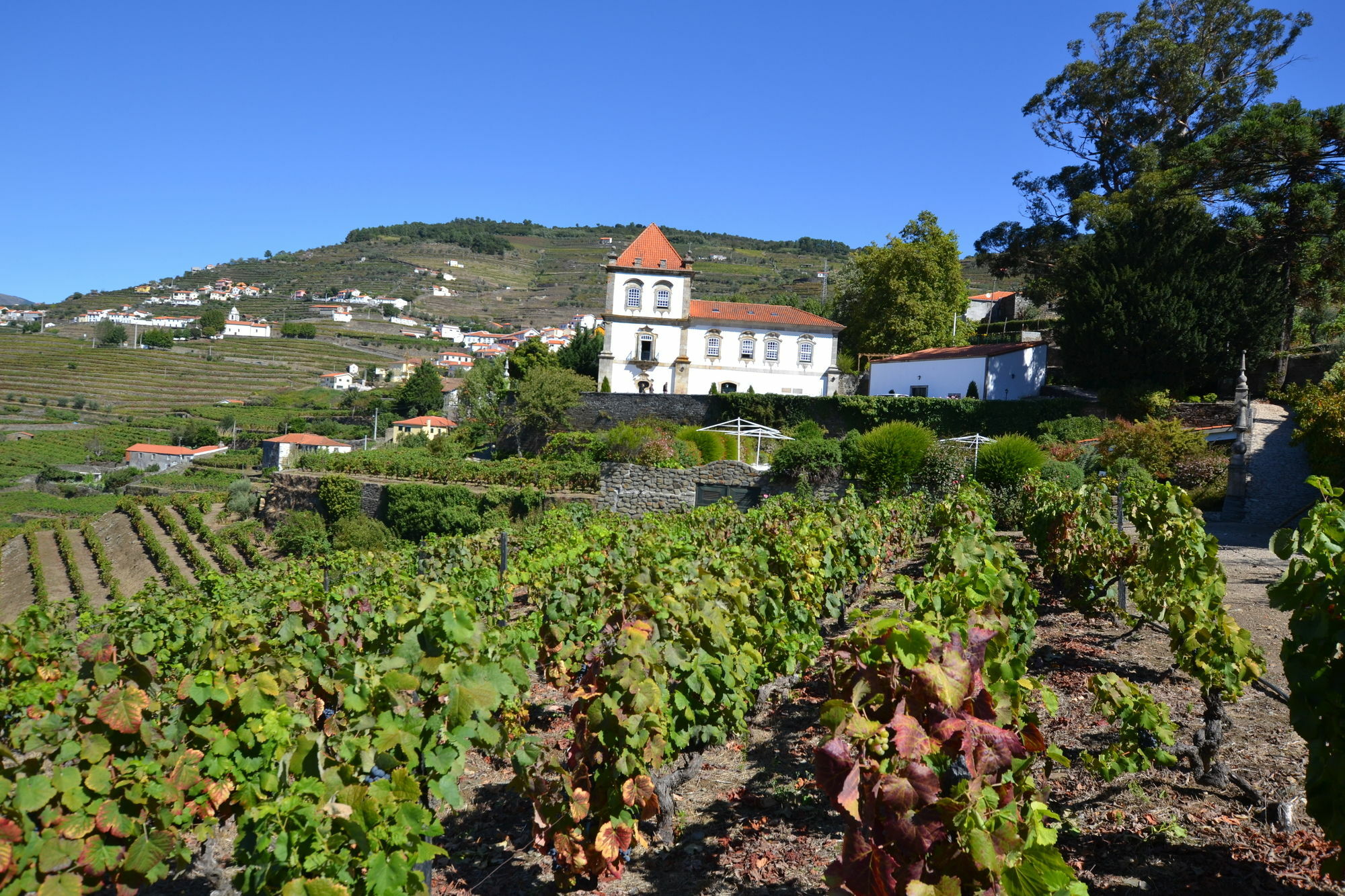 Casa Das Torres De Oliveira Mesão Frio Eksteriør billede