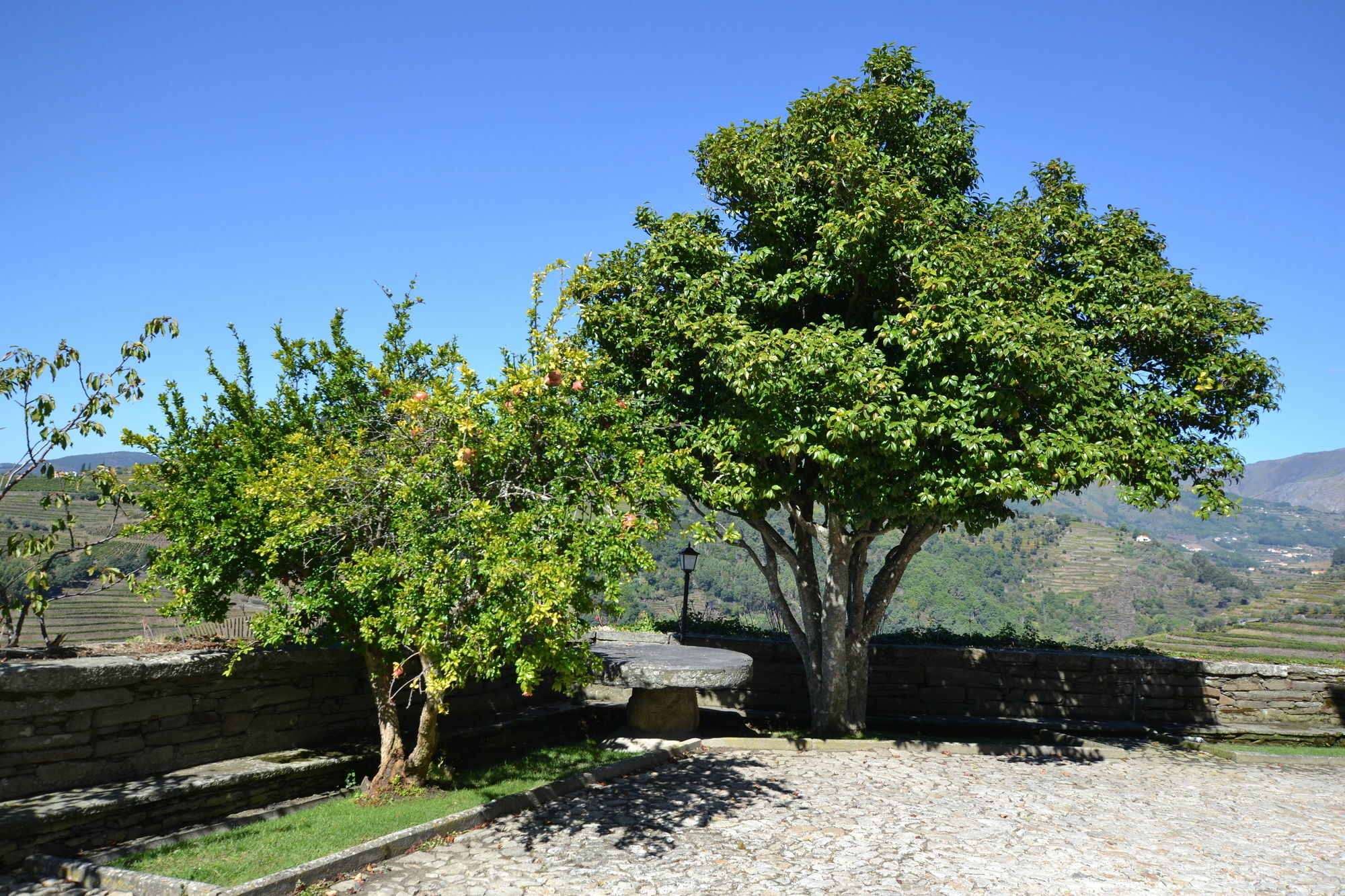 Casa Das Torres De Oliveira Mesão Frio Eksteriør billede