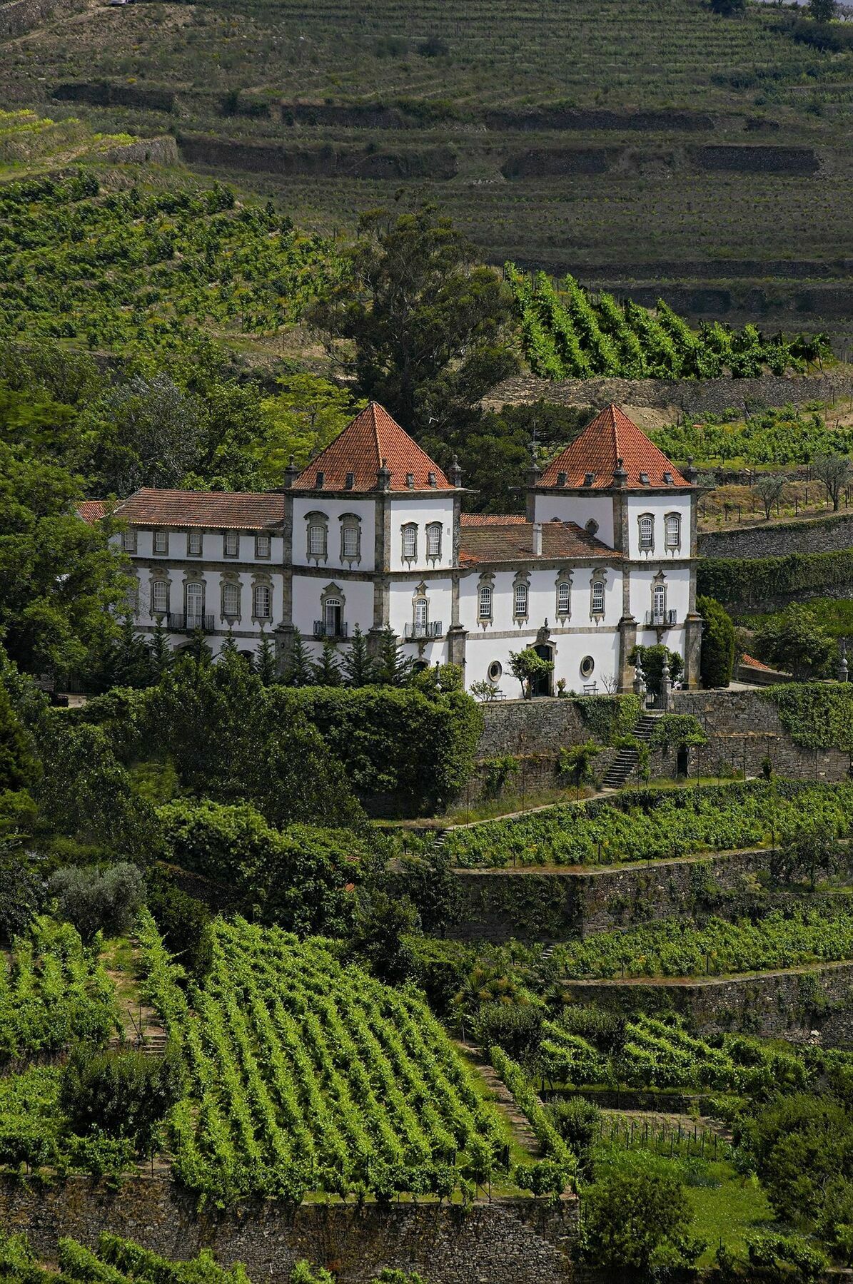 Casa Das Torres De Oliveira Mesão Frio Eksteriør billede