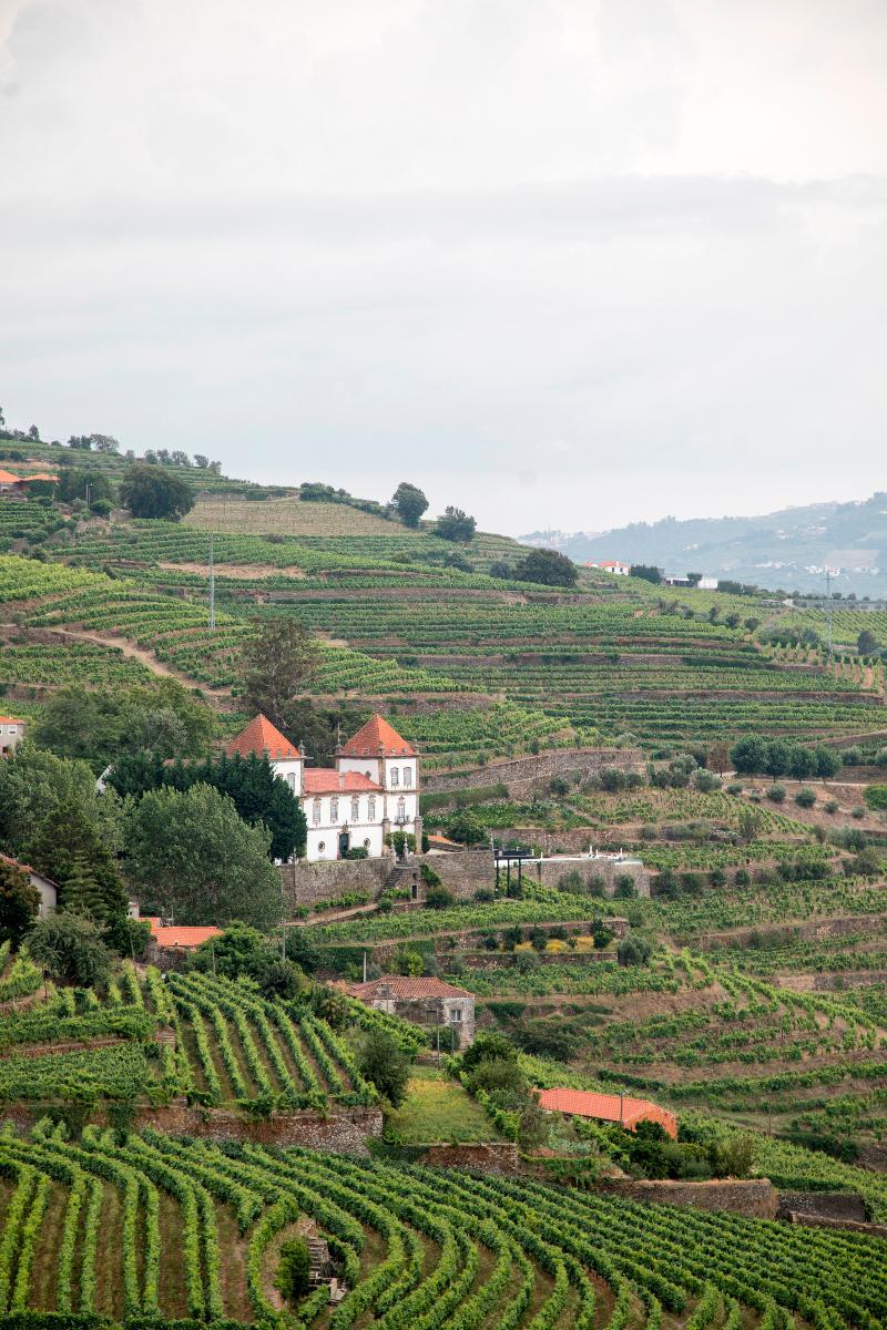 Casa Das Torres De Oliveira Mesão Frio Eksteriør billede